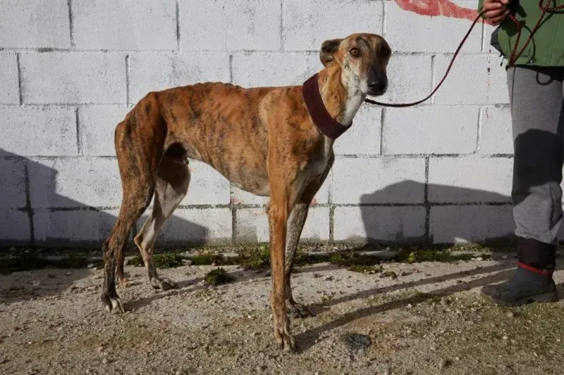 received 10210839094607209