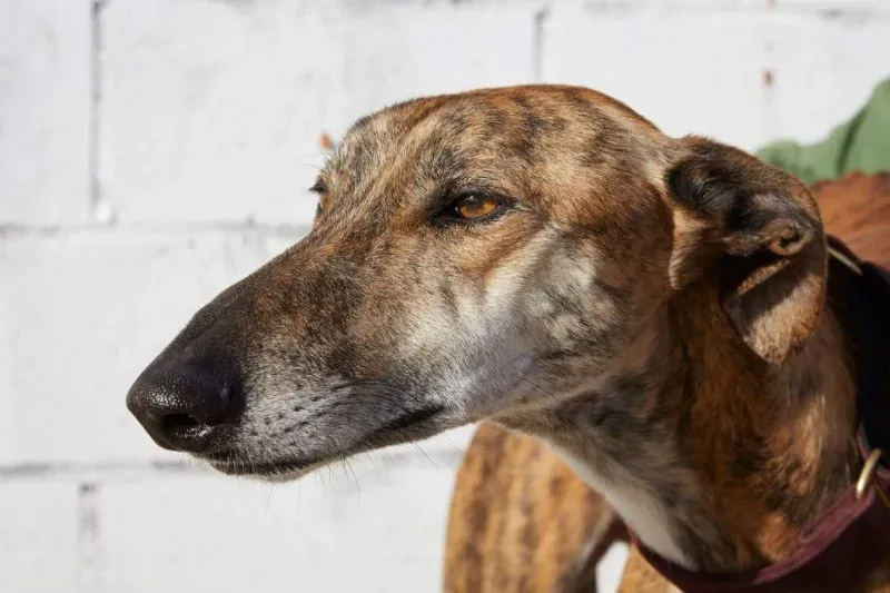 received 10210839095047220