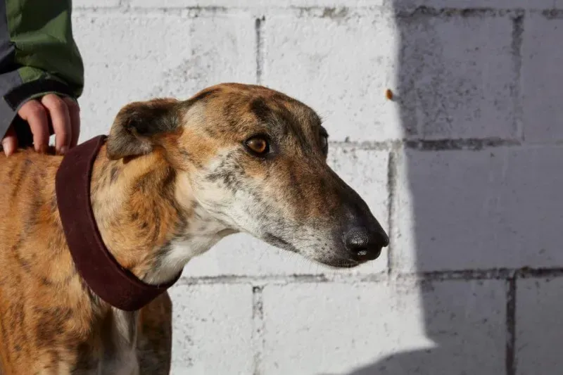 received 10210839095407229