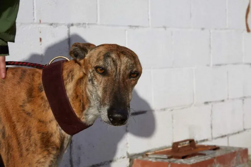 received 10210839095767238