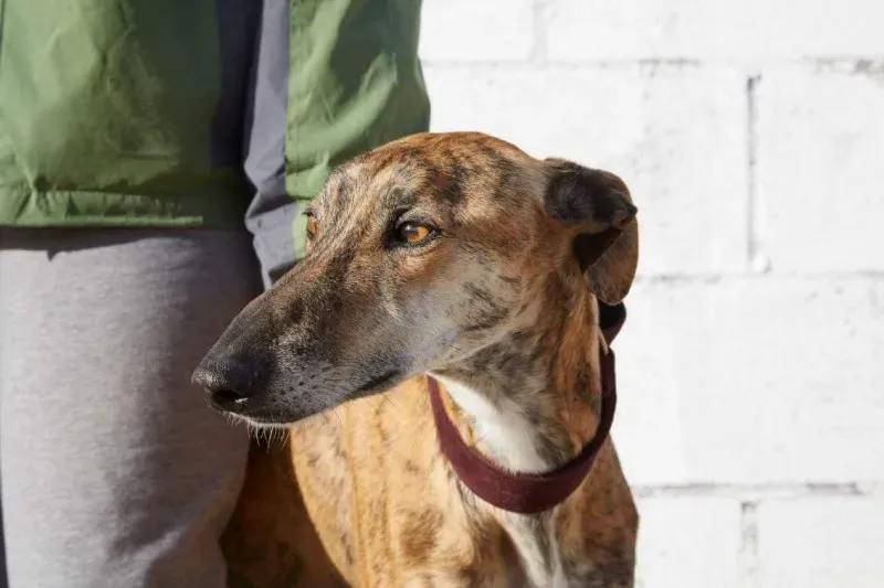 received 10210839095967243