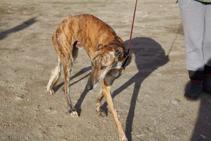 received 10210839096207249