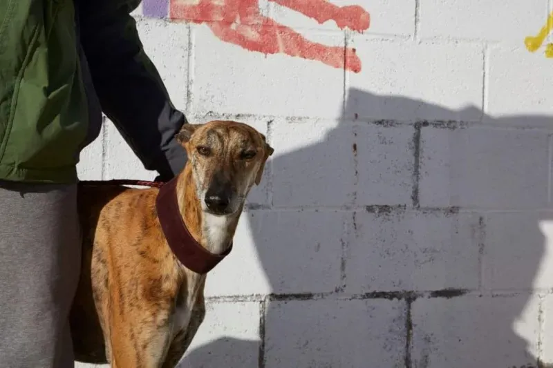 received 10210839096367253