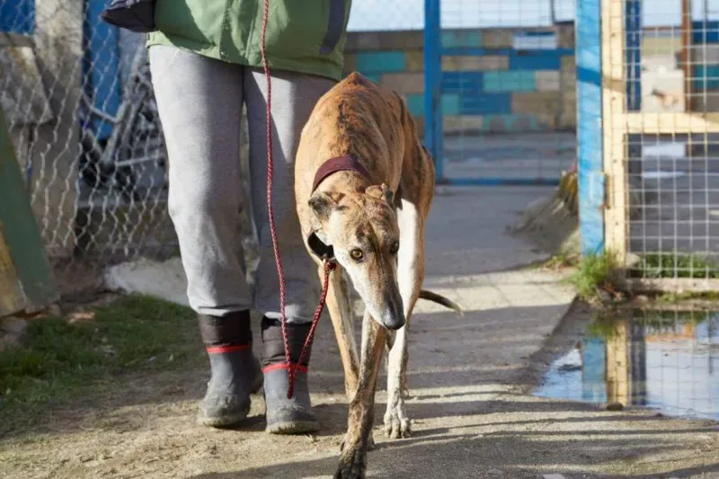 received 10210839096807264