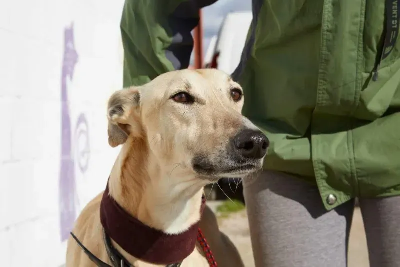 received 10210839107527532