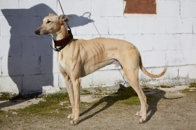 received 10210839107567533