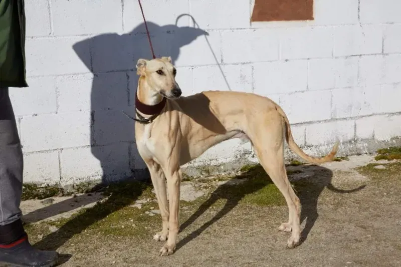 received 10210839107767538