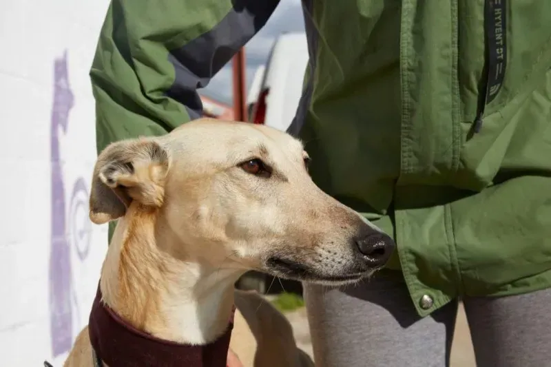 received 10210839107807539