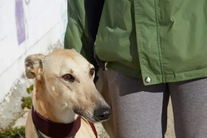 received 10210839108207549