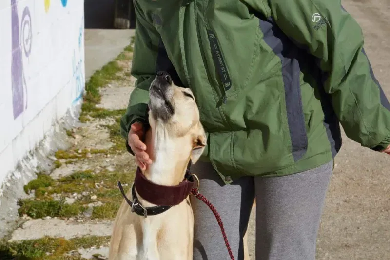 received 10210839108247550