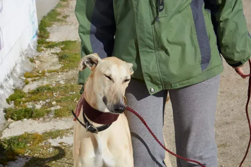 received 10210839108687561