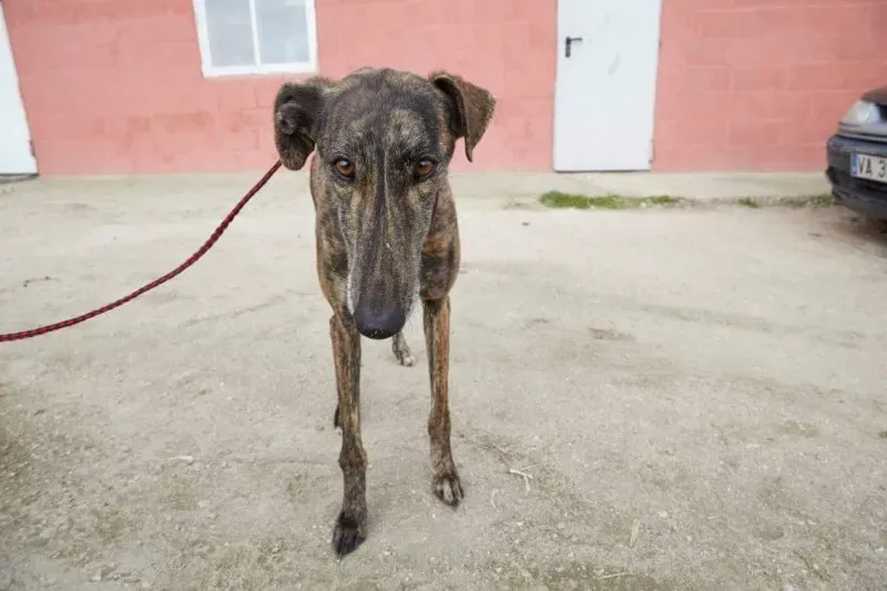 received 10210845532008140