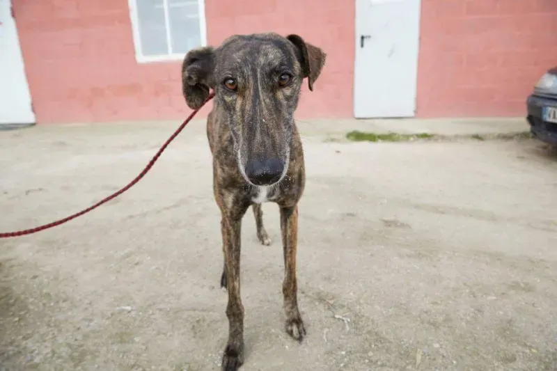 received 10210845532568154