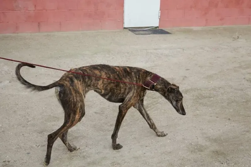 received 10210845534328198