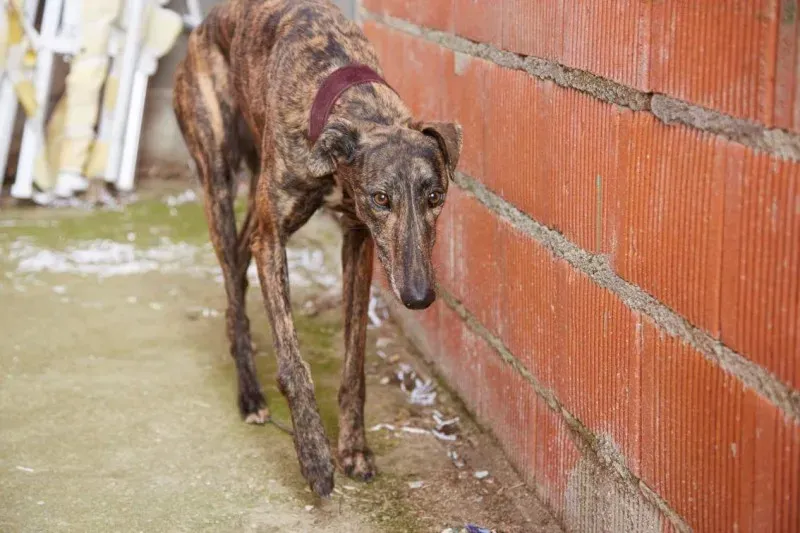 received 10210845534528203