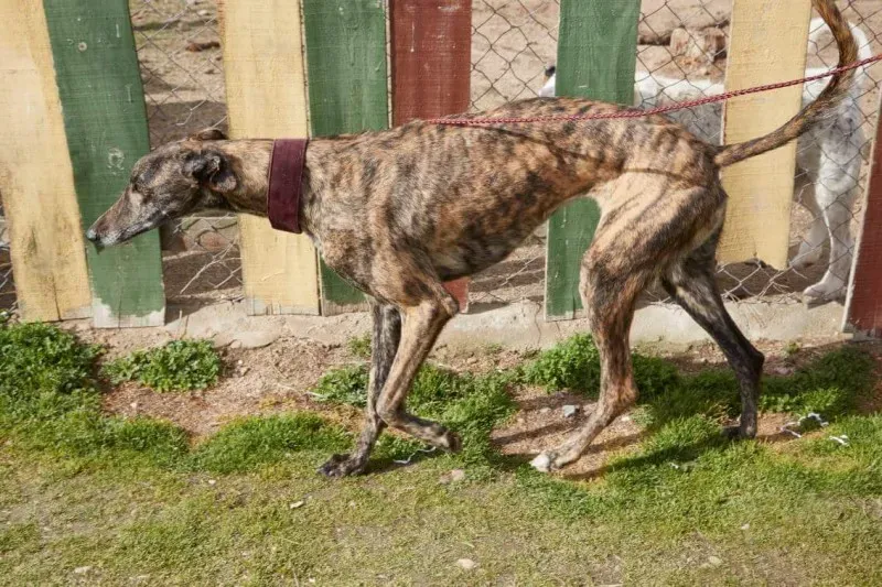 received 10210845534888212