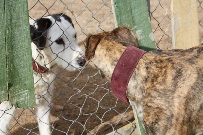 received 10210845534968214