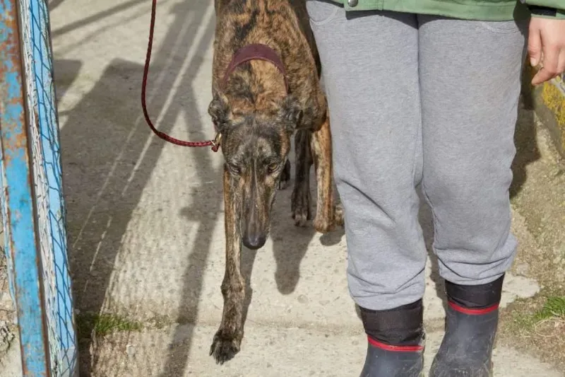 received 10210845535408225