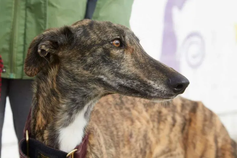 received 10210845536128243