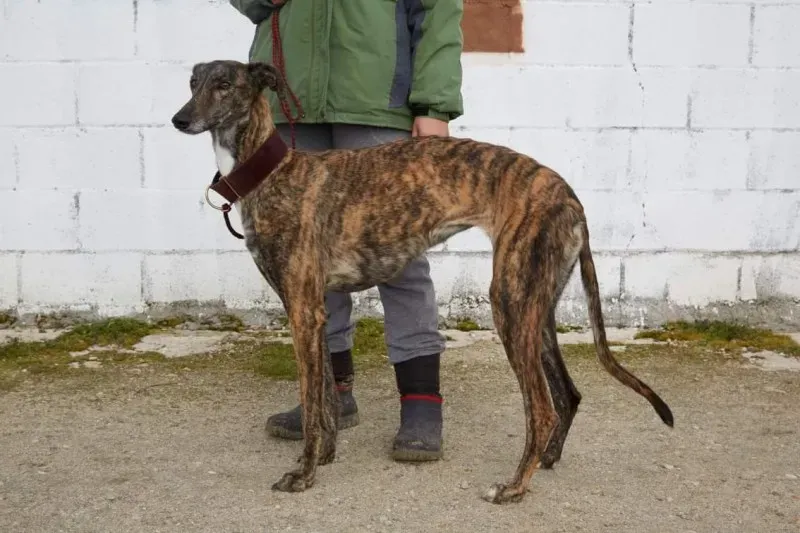 received 10210845536208245