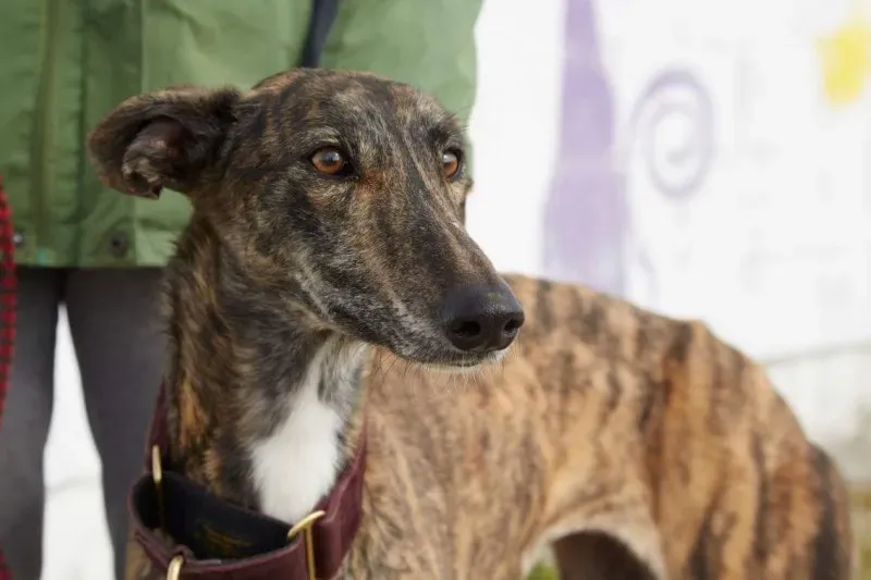 received 10210845536568254