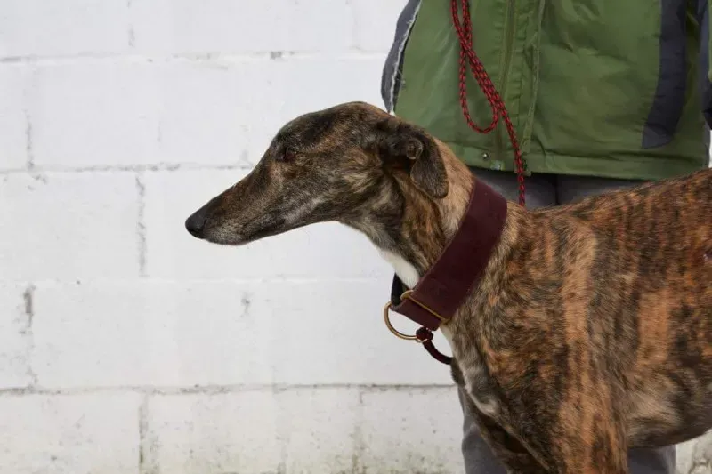 received 10210845537168269