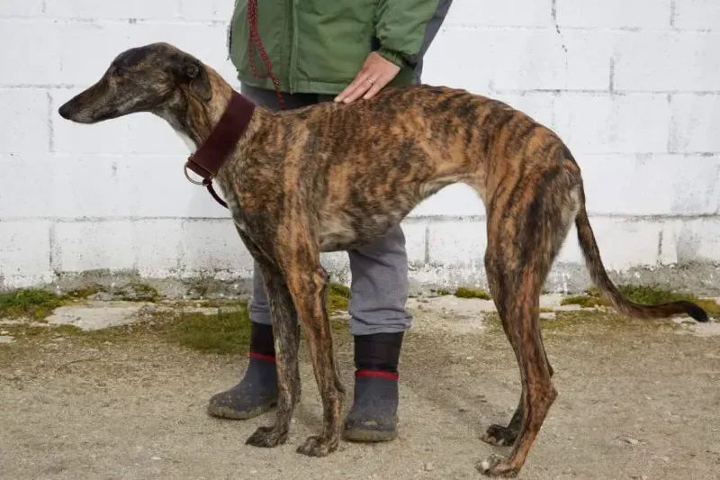 received 10210845537488277