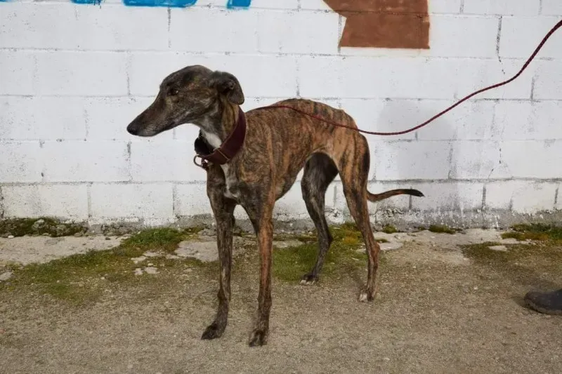 received 10210845537688282