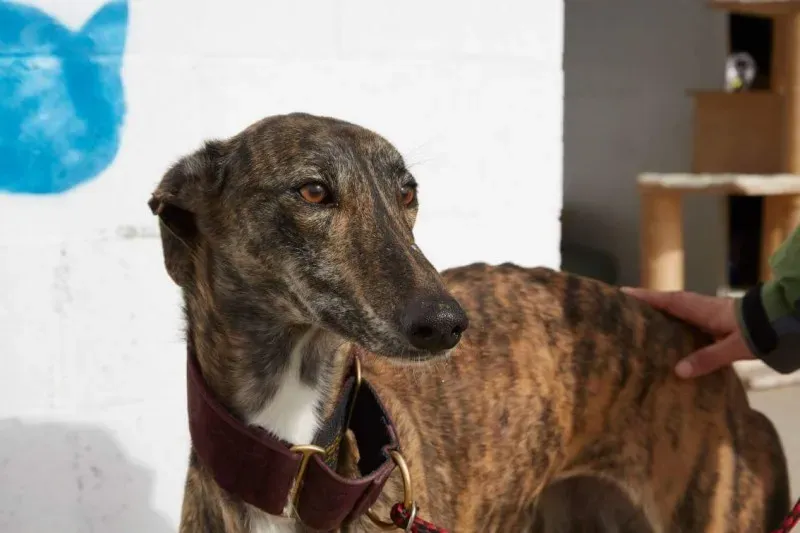 received 10210845537928288