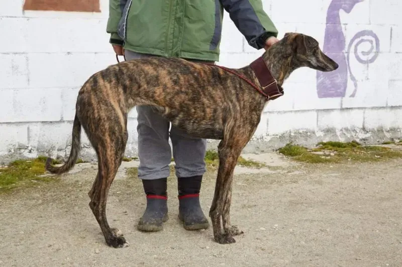 received 10210845538608305