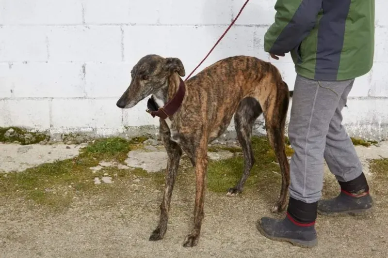 received 10210845538688307