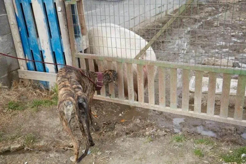 received 10210845539168319