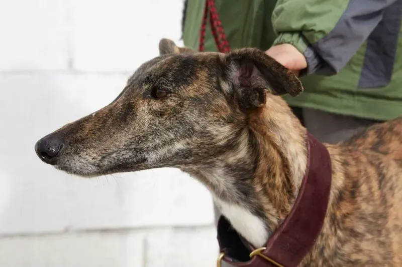 received 10210845539288322