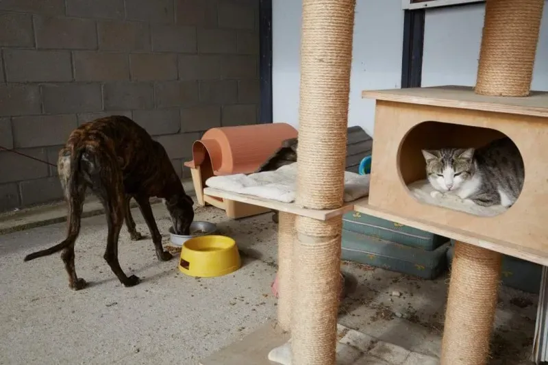 received 10210845540088342