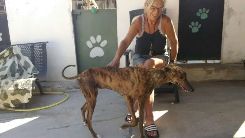 received 10212048616443371