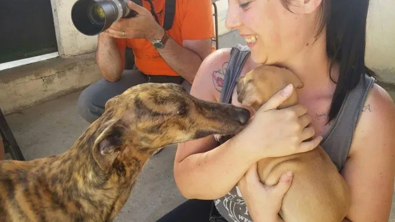 received 10212048620283467