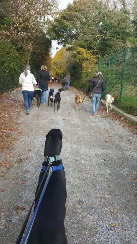 received 1177772528981015 e1478031601734