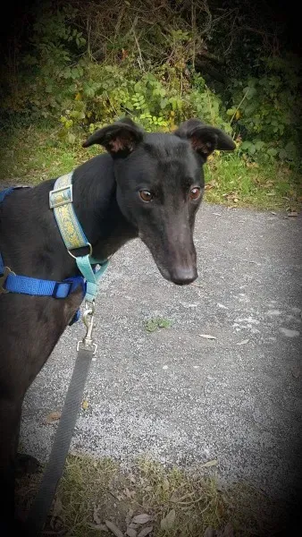 received 1177772532314348