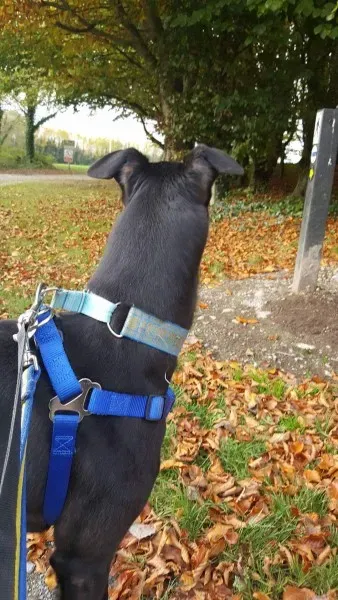 received 1177772542314347