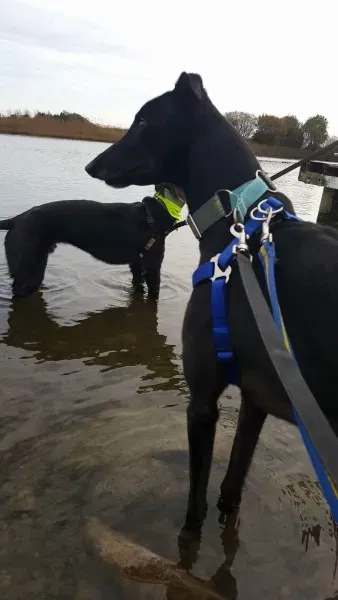 received 1177772548981013