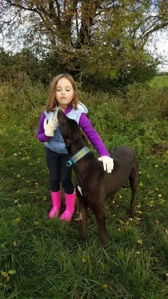 received 1177773028980965