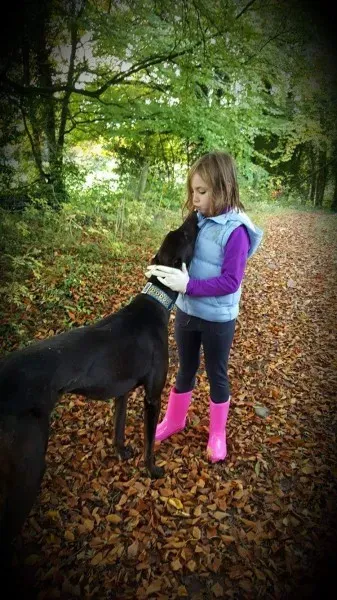 received 1177773032314298