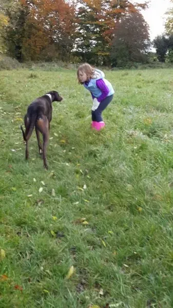 received 1177773038980964