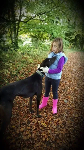 received 1177773042314297