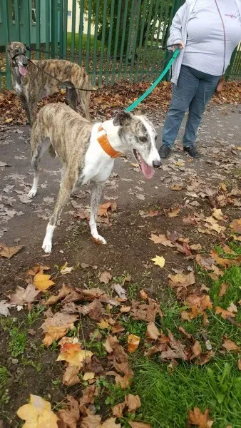 received 1177817608976507