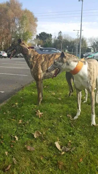 received 1177817612309840