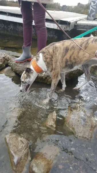 received 1177817615643173