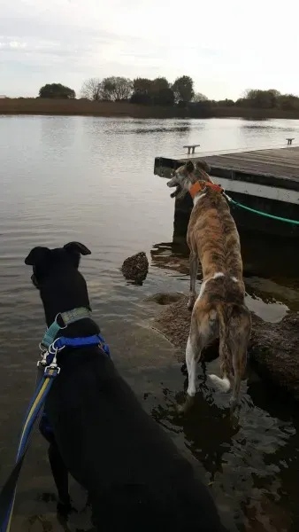 received 1177817622309839