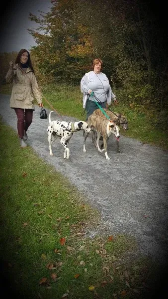 received 1177817625643172