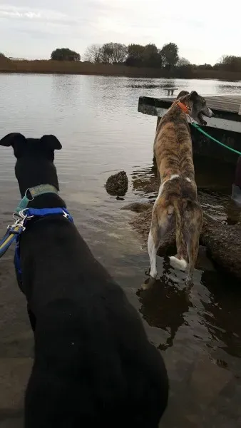 received 1177817628976505